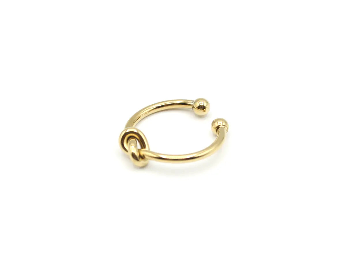 Anillo Knot