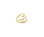 Anillo Dúo