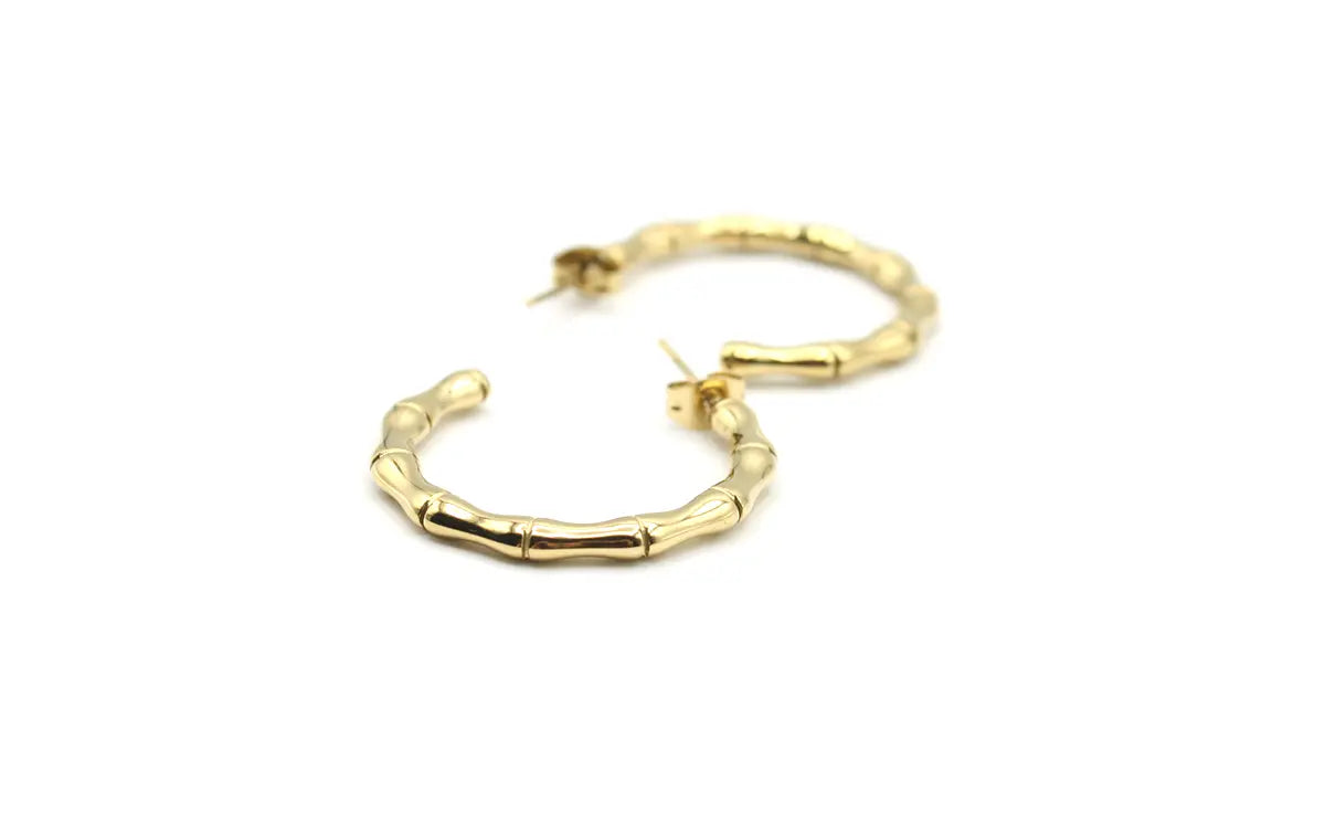 Pedientes de Aro Edulis