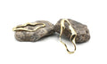 Pendientes Sofía acero inoxidable dorado diseño abstracto de lineas y curvas suaves, alargado, acabado brillante espejo, elegante y versátil. DELACABRA.COM 