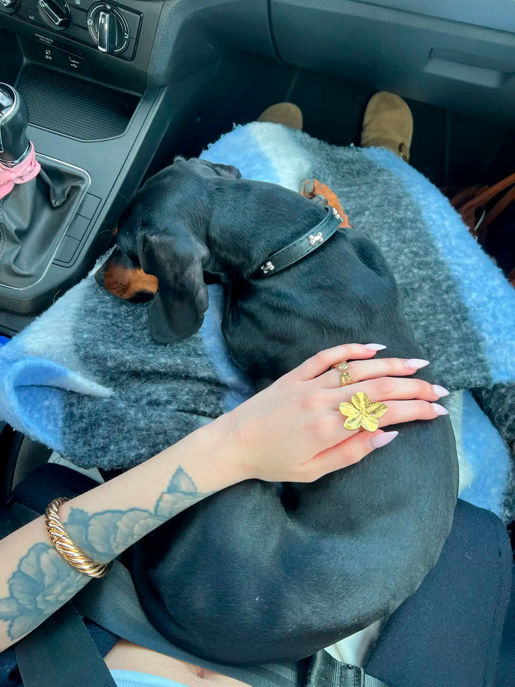Anillo Fiore acero inoxidable dorado, mujer en coche con un perro en las piernas, luciendo un anillo fiore de delacabra, tattoo, moernidad, vanguardia. Delacabra