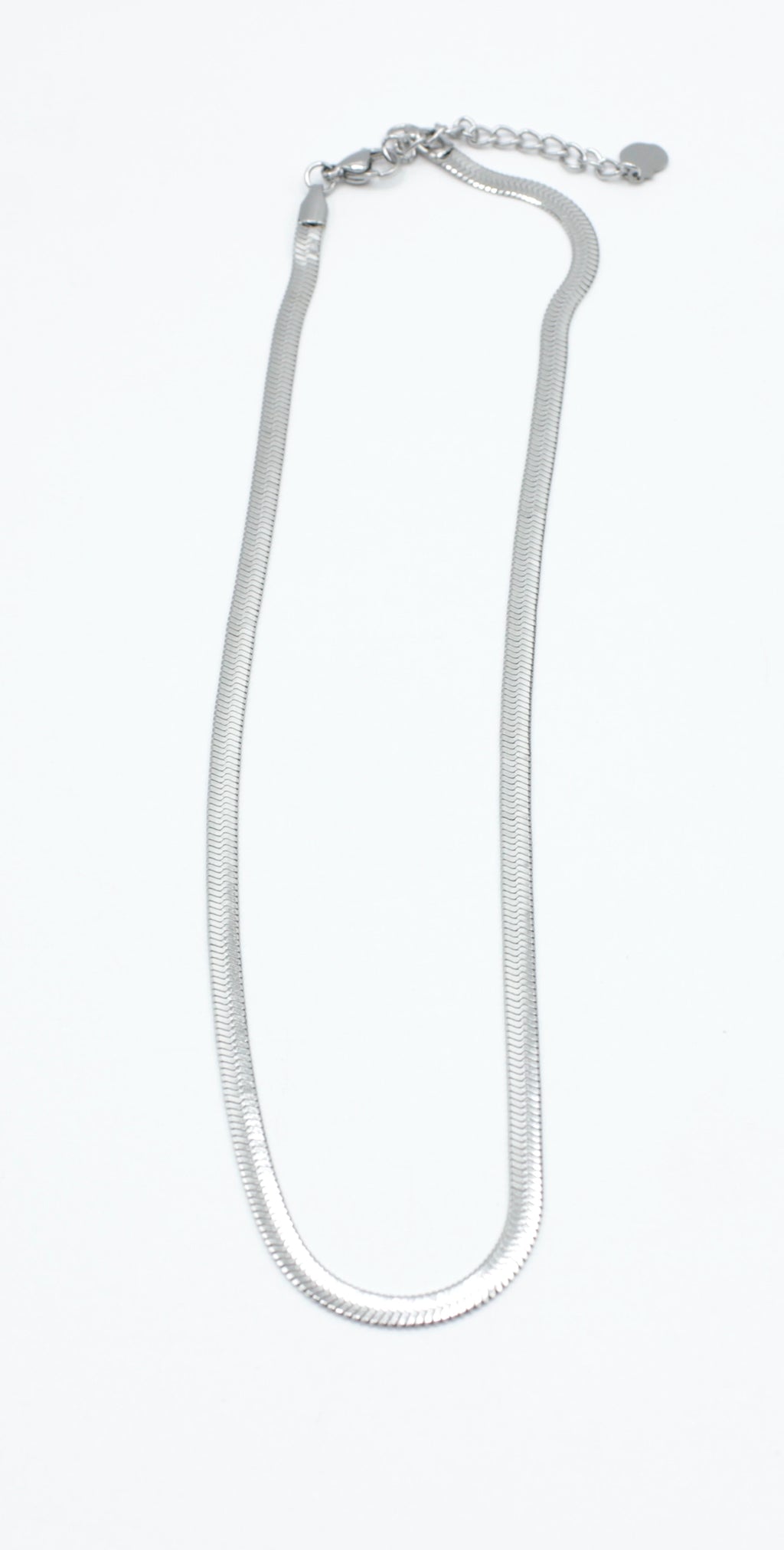 Collar Leopard acero inoxidable plateado vista completa sobre fondo blanco - delacabra