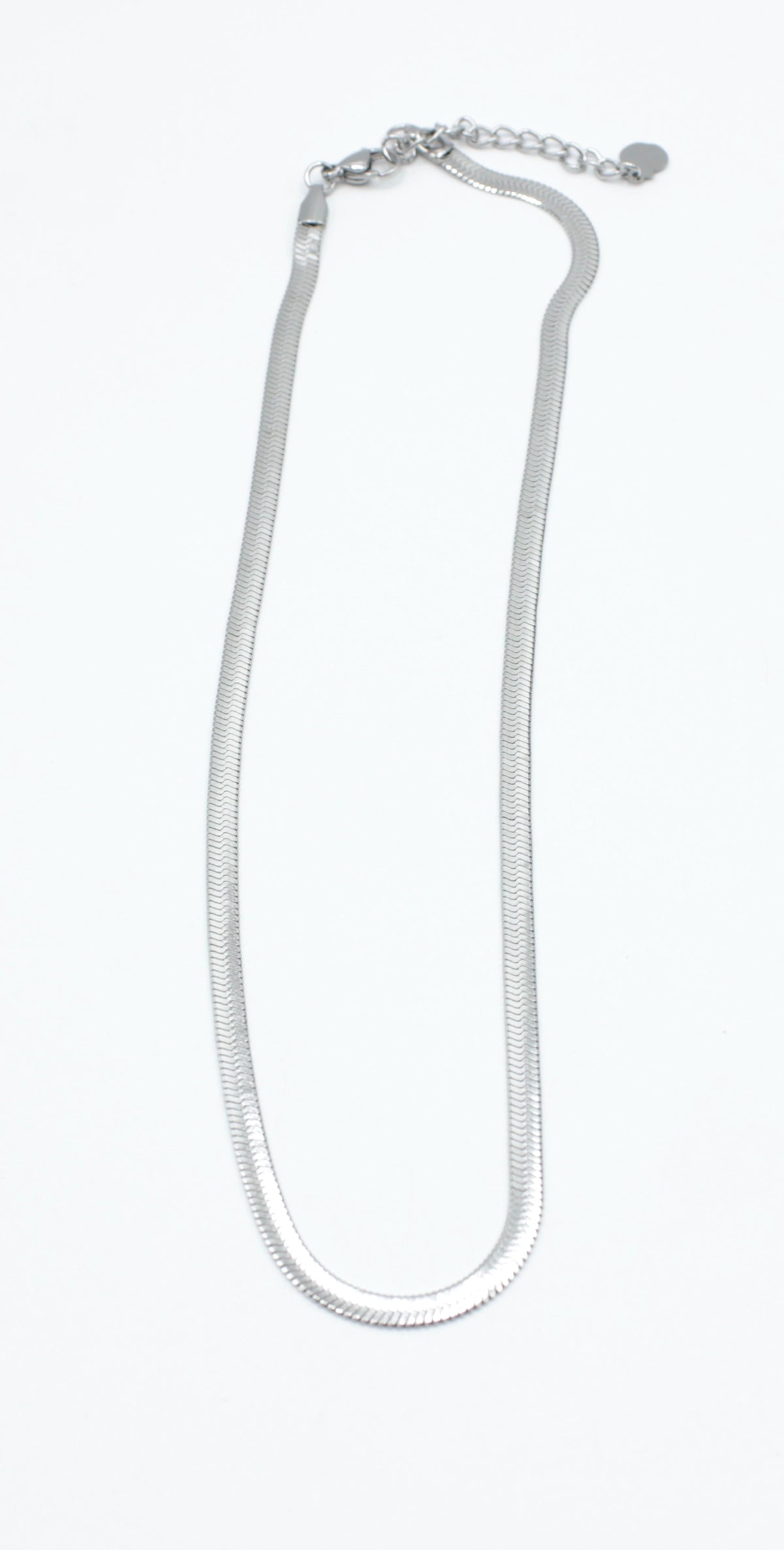 Collar plateado de acero inoxidable con diseño de serpiente sobre fondo blanco.